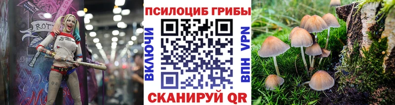 магазин  наркотиков  Барнаул  omg сайт  Псилоцибиновые грибы мицелий 